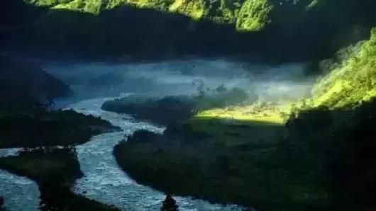章鱼喷墨汁