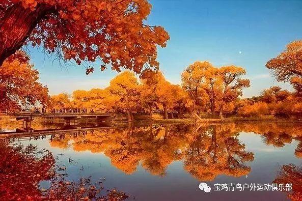 蜡笔小新大逃杀2